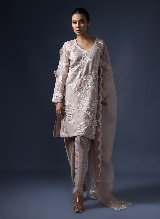 3D Embroidered Kurta With Straight Salwar And Dupatta