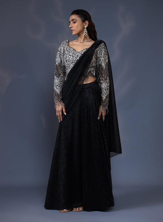 Embroidered Blouse With Draped Saree